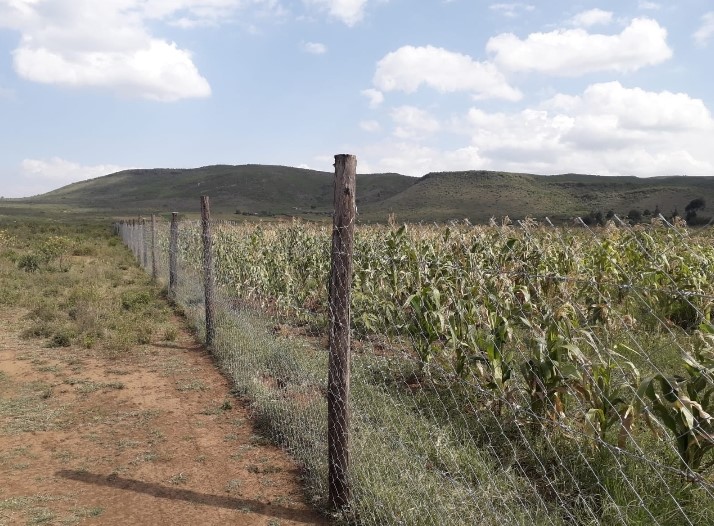 Additional property image